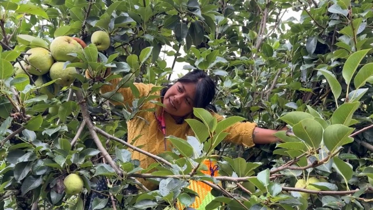 Cómo hacer un postre con la fruta más barata del pueblo