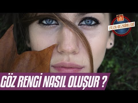 Göz Rengi Nasıl Oluşur ? Basit Bilim Serisi