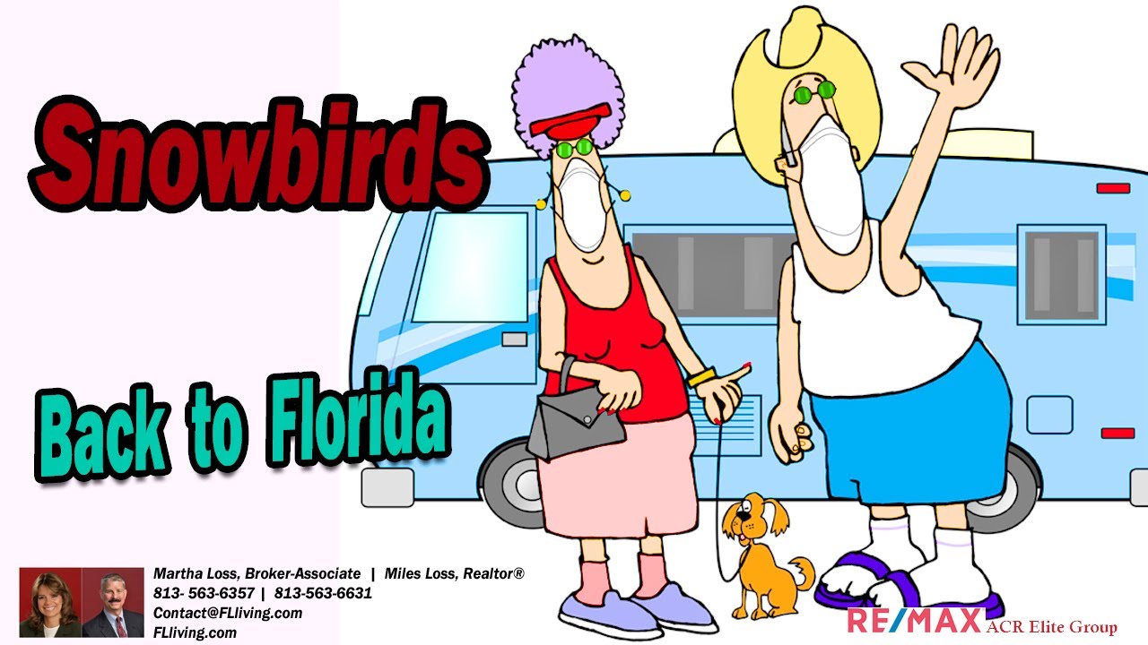 Are Snowbirds flying back to Florida YouTube
