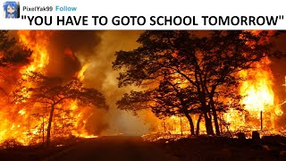 Funniest School Tumblr Posts