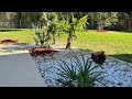 Spring Palm Garden Update! 😱🌴 (Part 2)