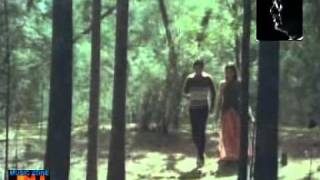 Illayaraaja For Malayalam Its Misty In The Atmosphere -Tides