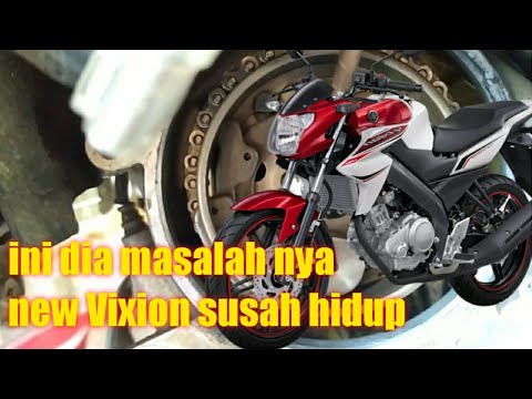 Video: Di Pagi Hari Namanya Adalah Vixen