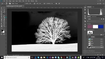 Channel  Masking In Photoshop CC