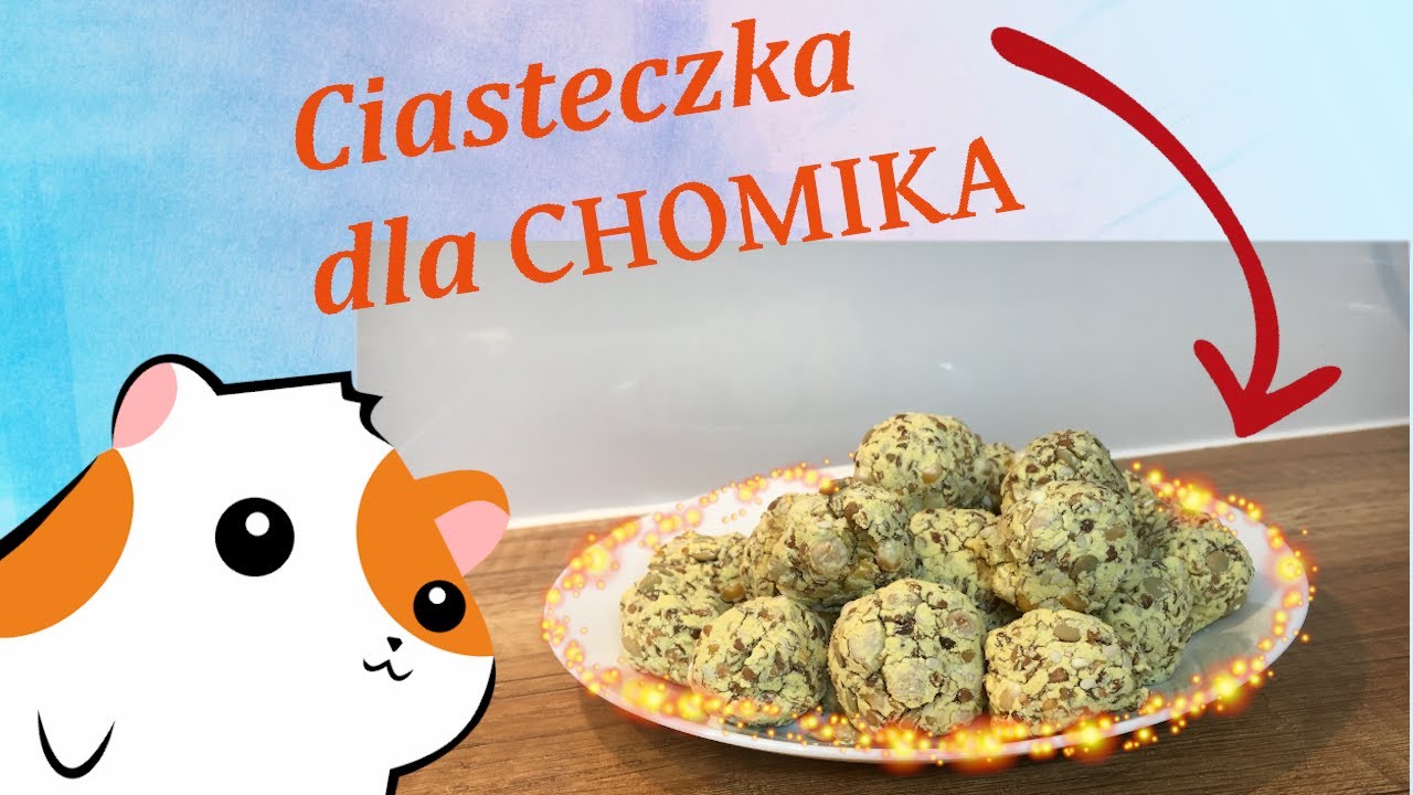 🐹Jak zrobić zdrowe ciasteczka dla CHOMIKA z nasionami? 🐹 Linarchie #2