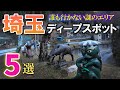 埼玉のディープな穴場スポット5選 Part4/誰も知らないB級エリアめぐり/埼玉観光旅行vlog