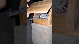 Nighttime Glodok Check