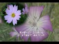 浮草の川(神野美伽)唄 tiko