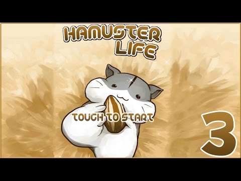 Hamster Life