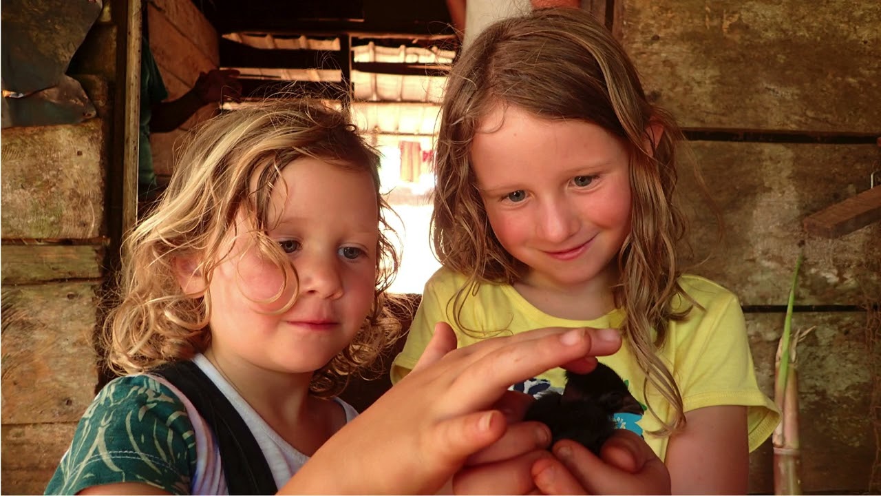 Little girls loving a baby chicken