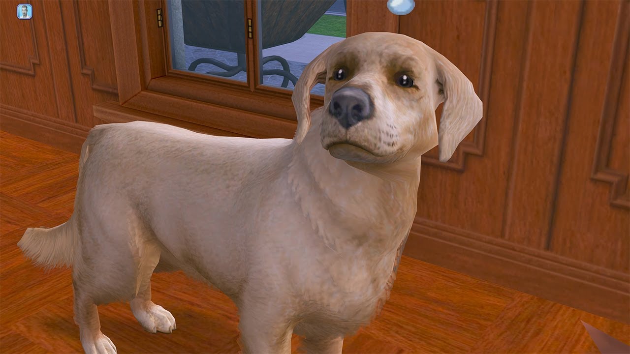 WE HAVE A NEW HOUSE!! The Sims 2 Legacy Challenge Part 5 - YouTube
