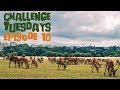 The Wildlife of London // Challenge Tuesdays 10