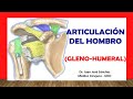 ARTICULACIÓN DEL HOMBRO, (Glenohumeral). Fácil, Rápida y Sencilla