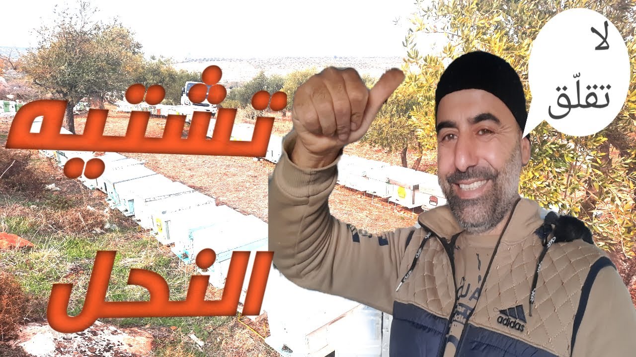 لا تقلق على نحلك بالشتاء بعد هذا الفيديو//تفاصيل هامه//