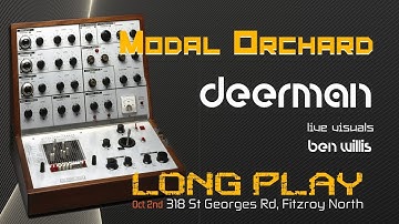 Deerman - live (with EMS VCS3)