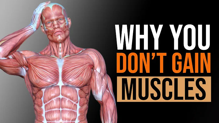 10 Reasons Why You Don’t Gain Muscle