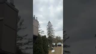 Why This Condo Is Removing Every Fireplace Chimney