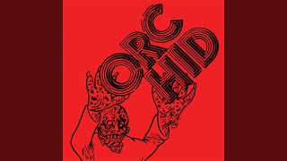 New Ideas In Mathematics