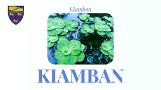 Kiambang