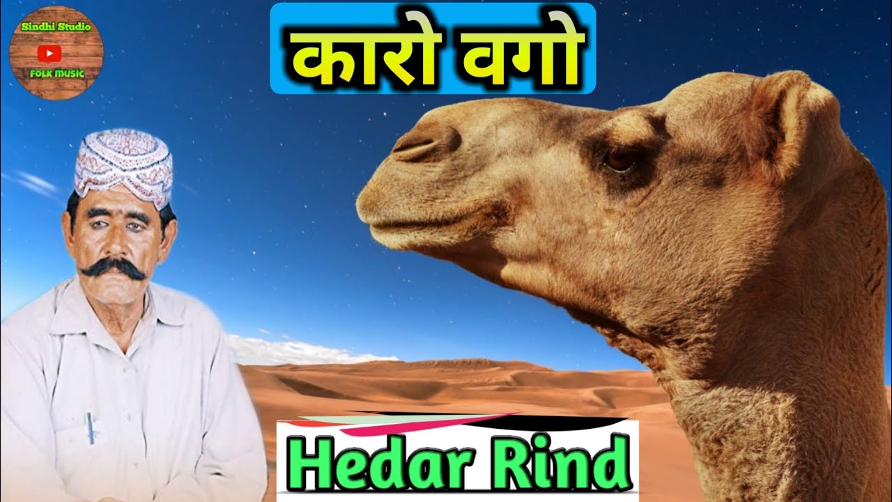 Karo Rind Karo vago karo vago | hedar rind | कारो वगो कारो वगो | हैदर रिंद ...