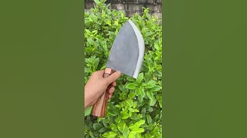 Cá MẬP con ! | Dao phúc sen