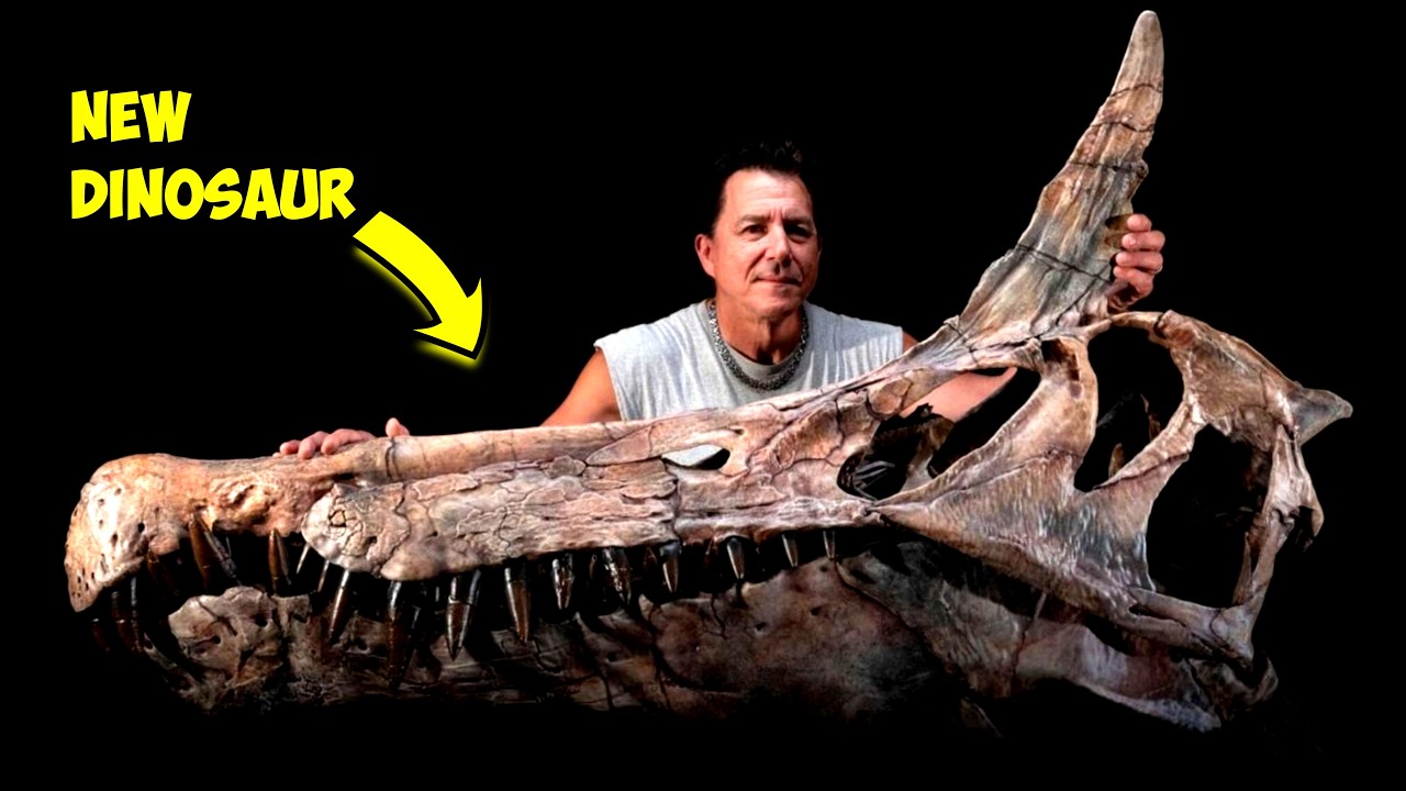 A New Dinosaur Was Just Found