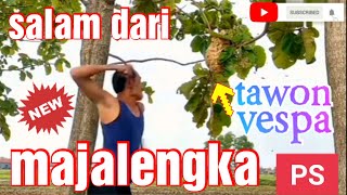 viral salam dari Majalengka || bukan salam dari binjai ||  tawon vespa || tawon endas