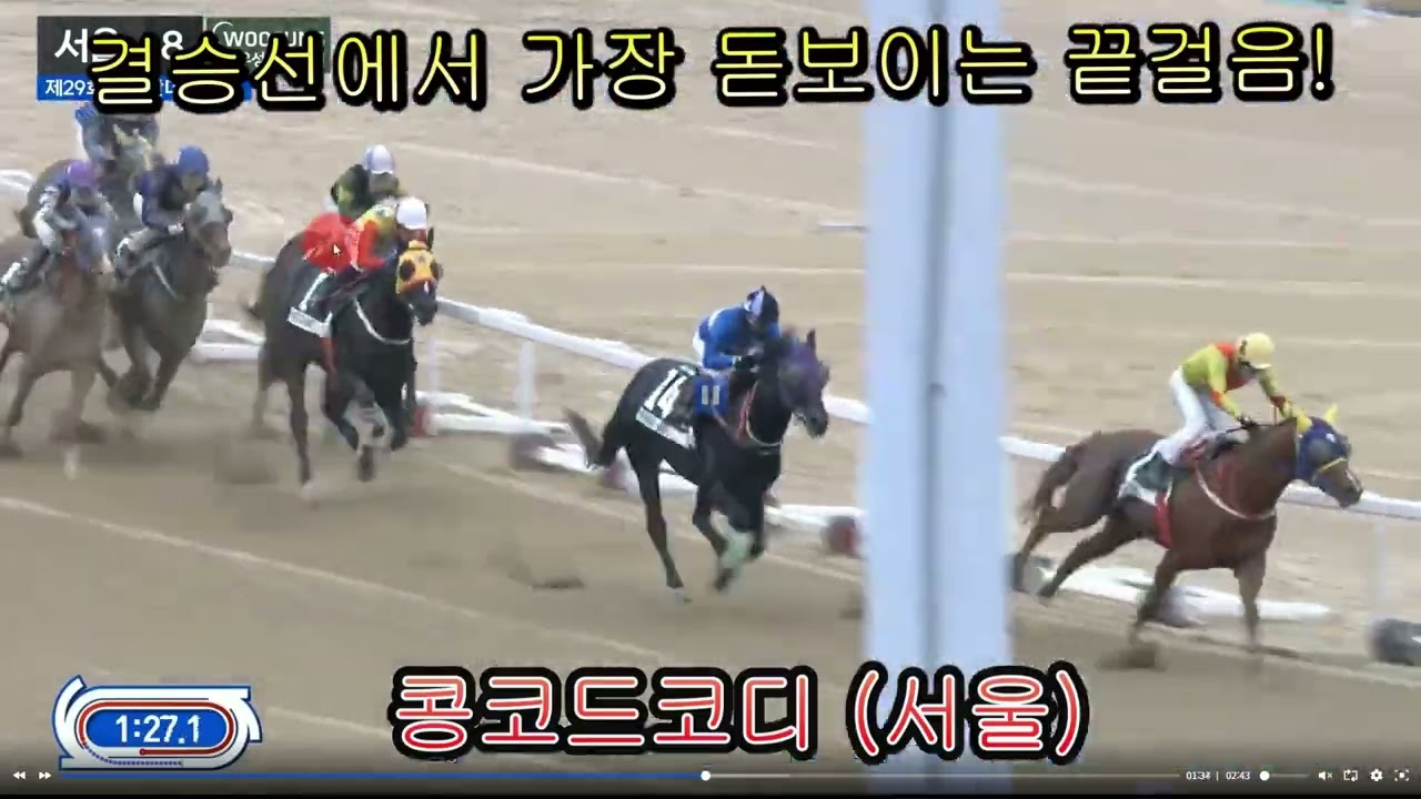 농림축산식품부장관배(G2) 우승마 예측과 혈통적 거리 적성 분석
