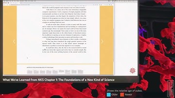 Stephen Wolfram - What We