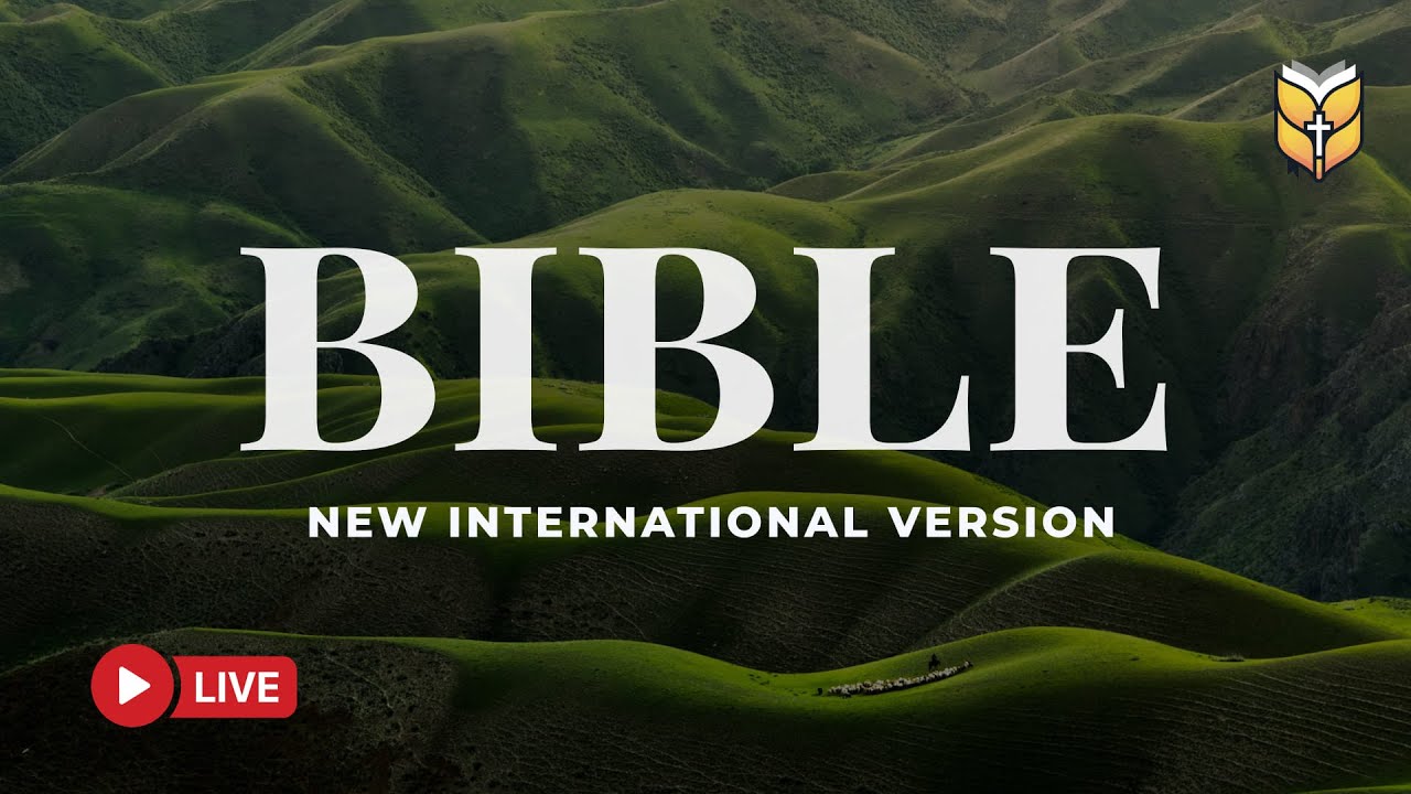NIV Holy Bible – Discover Peace and Joy in Scripture 🔴 BibleVision LIVE