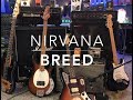 Nirvana Guitar Tone I BREED I Shred Shed