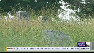 Fairview Cemetery clean up