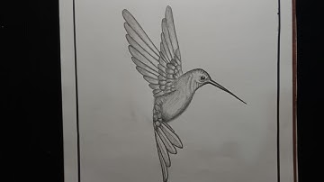 How to draw a hummingbird