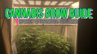Cannabis Grow Guide Ep: 13 Transitioning into Flower