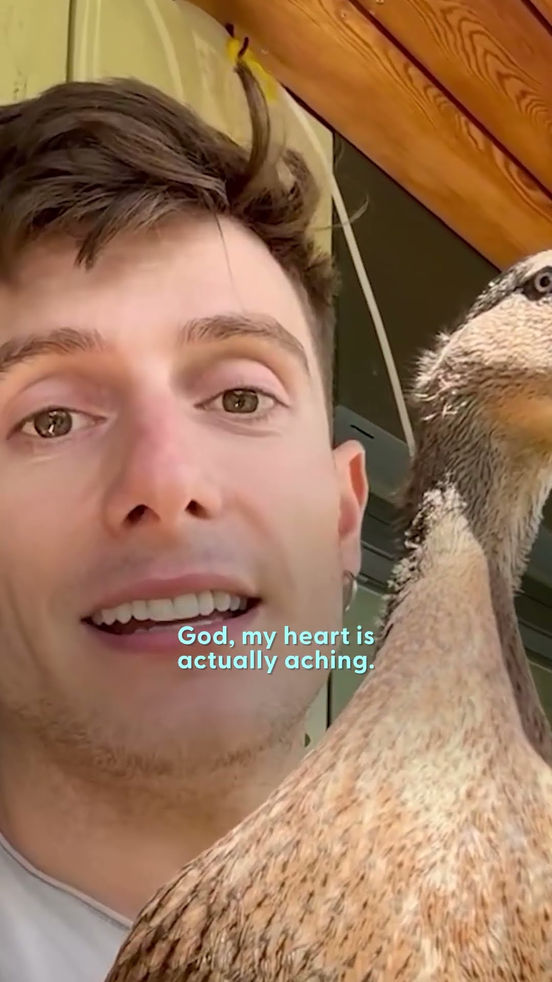 Man Finds Mysterious Egg In The Center Of London | The Dodo
