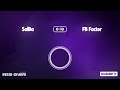 Maalikooste: SalBa - FB Factor (Inssi-Divari N)