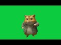 The hamster is happy, it dances 4k green screen VFX4