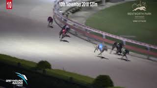 WENTWORTH PARK-10112018-RACE-10