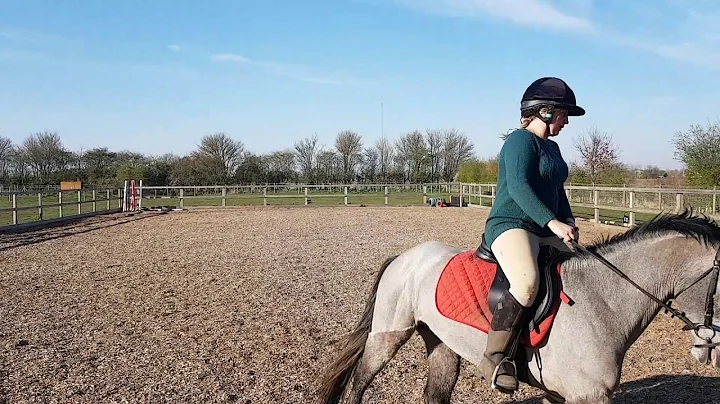 Sarah Leggett on Abbeyside Padraic Intro C Dressag...