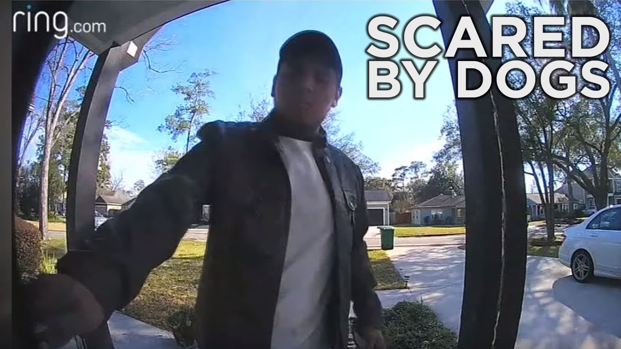 Home Intruder Scared Off by Dogs Caught on Doorbell Cam YouTube