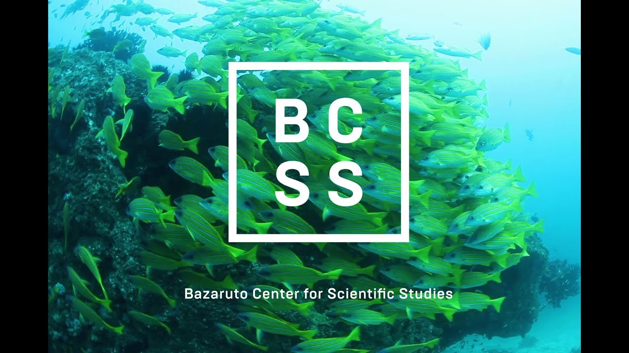 BCSS (Bazaruto Center for Scientific Studies) WELCOME TO PARADISE | Benguerra Island
