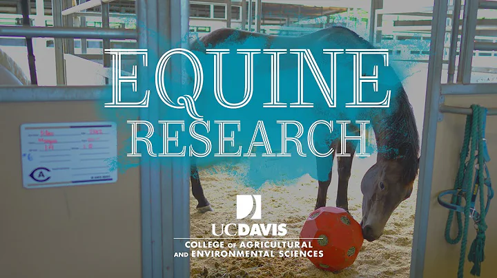 Animal Science and Equestrian Team conduct researc...