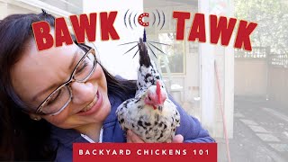 Handling Stress in Chickens - Bawk Tawk Podcast LIVE