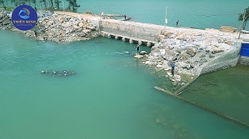 Trải nghiệm câu cá biển – Bắt Cá Dìa, Nhum, Hà rồi nướng ăn giữa biển!