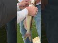 fishing with#Ctrl-Alt-Eli