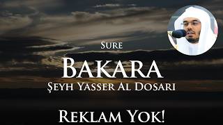 Sure Bakara Reklamsız | Şeyh Yasser Al Dosari | Kuran Tilaveti Doğa Manzarası