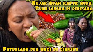 Download Lagu 2 HARI DI CIANJUR BIKIN NGAKAK RUJAK BUAH LANGKA BARENG GADIS DESA MP3 Download Lagu 2 HARI DI CIANJUR BIKIN NGAKAK RUJAK BUAH LANGKA BARENG GADIS DESA MP3