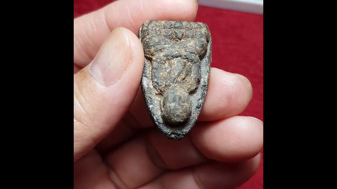 มาชมหลวงปู่ทวดเนื้อว่านกันค่ะเก่าเก็บ