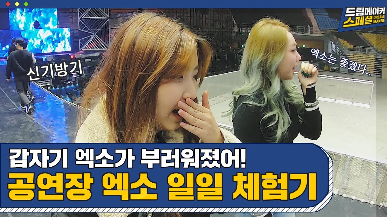 엑소 EXO 공연장 방문했다가 화려함 甲 무대에 반한 에리 둘?!😽 이것이 ⭐월클⭐ 무대다 │ 드림메이커 스페셜
