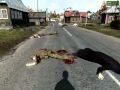 Arma 2  zombie ve vesnici part 3